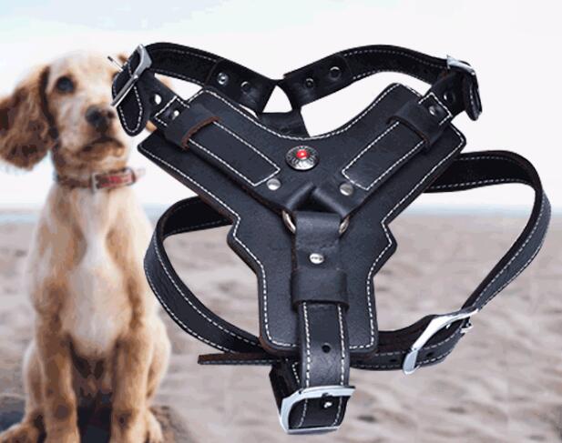 Paws & Oasis Genuine Leather Harness