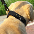 Paws & Oasis Genuine Leather Collar