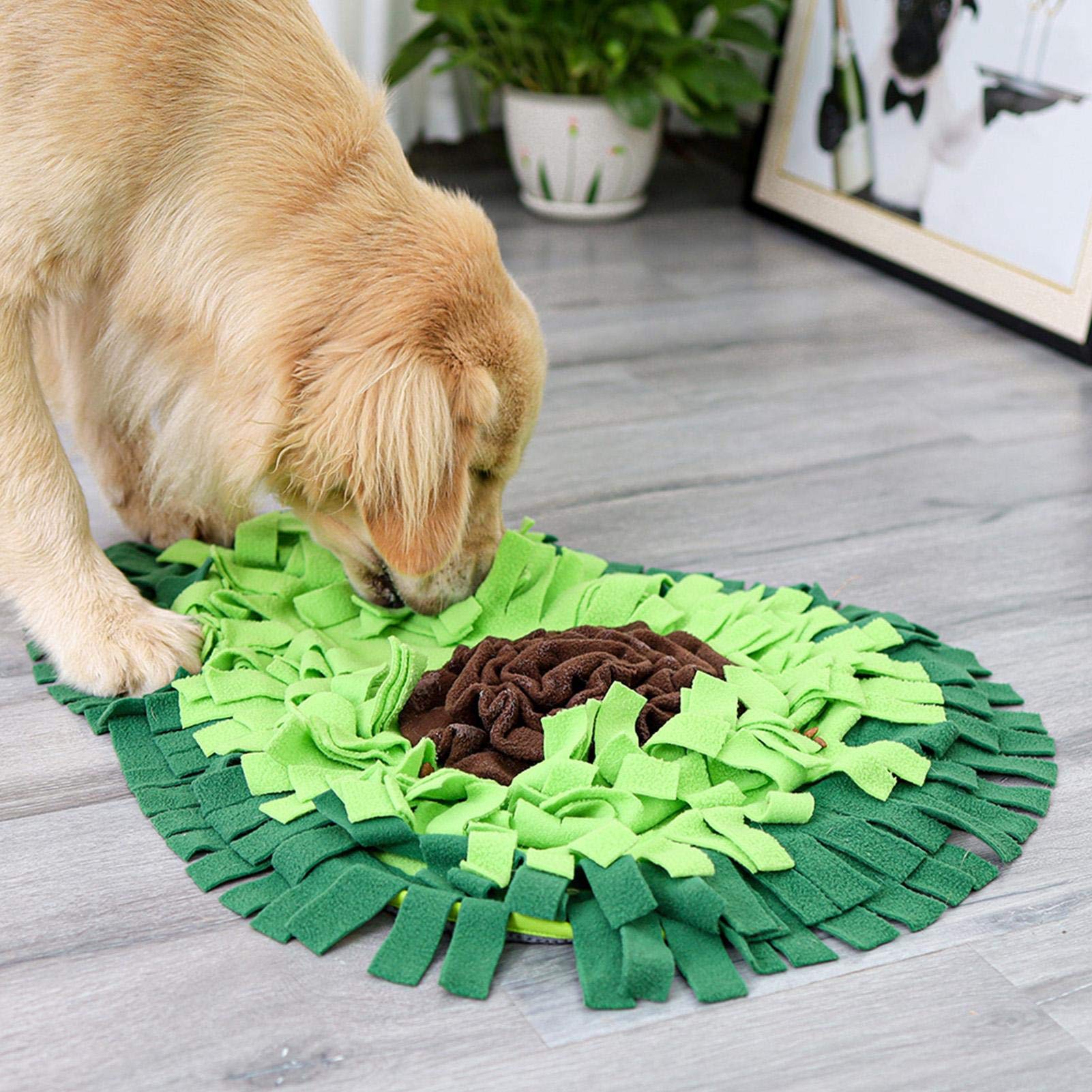 Paws & Oasis Snuffle Puzzle Mat