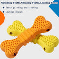 Paws & Oasis Dental Care Chew Set