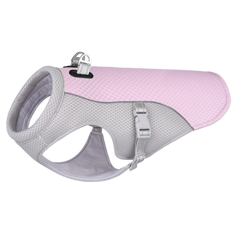 Paws & Oasis Cooling Vest – pet wearing vest outdoors