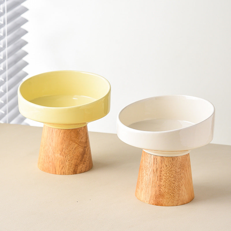 Paws & Oasis Ceramic Elevated Bowl