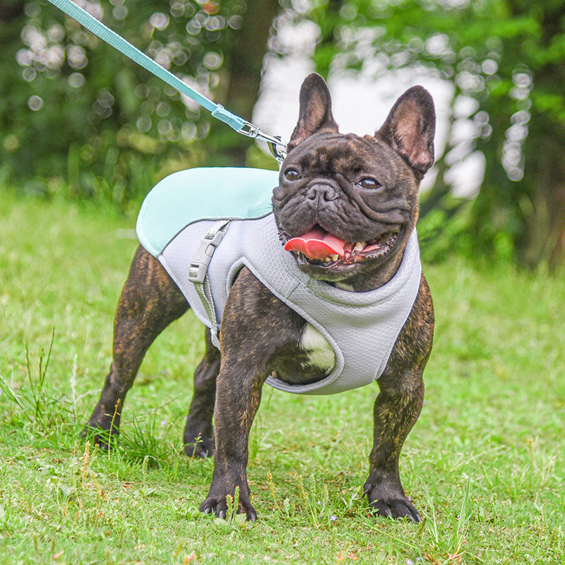 Paws & Oasis Cooling Vest – back view on dog
