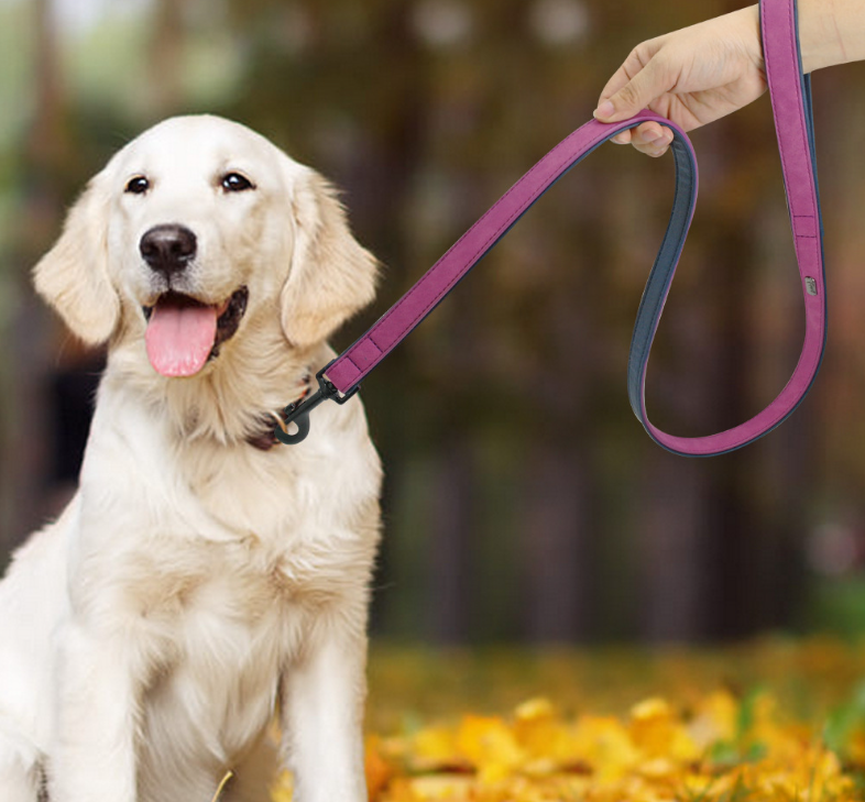 Paws & Oasis Pull-Resistant Leather Leash
