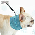 Paws & Oasis Instant Cooling Bandana