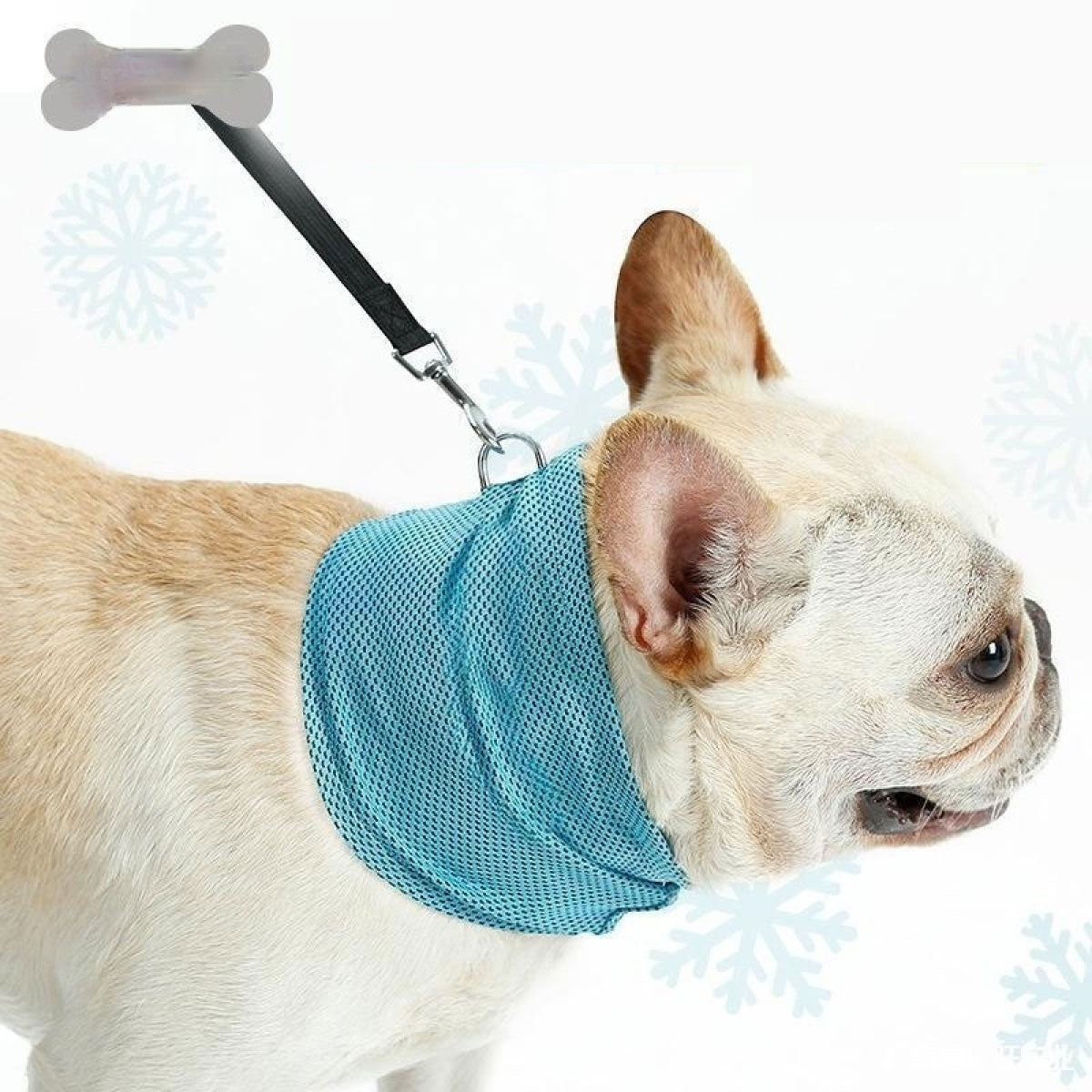 Paws & Oasis Instant Cooling Bandana
