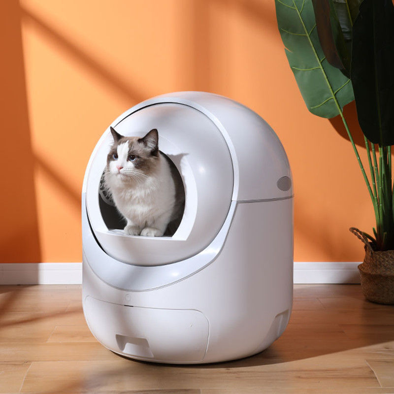 Paws & Oasis Fully Automatic Litter Box