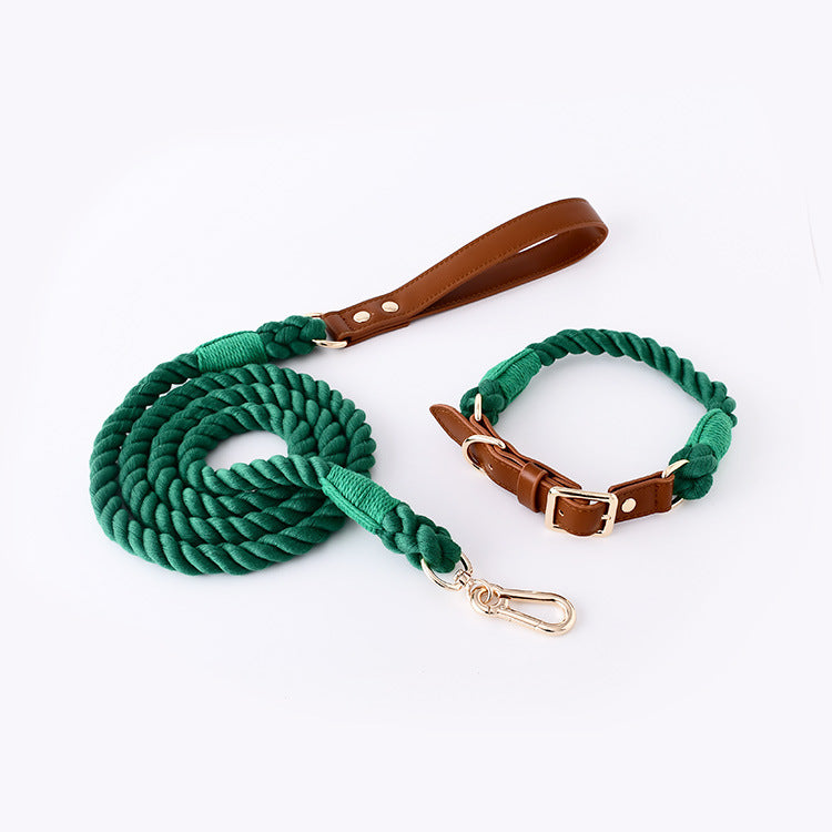 Paws & Oasis Woven Leather Leash