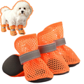 Paws & Oasis Hot-Pavement Paw Boots