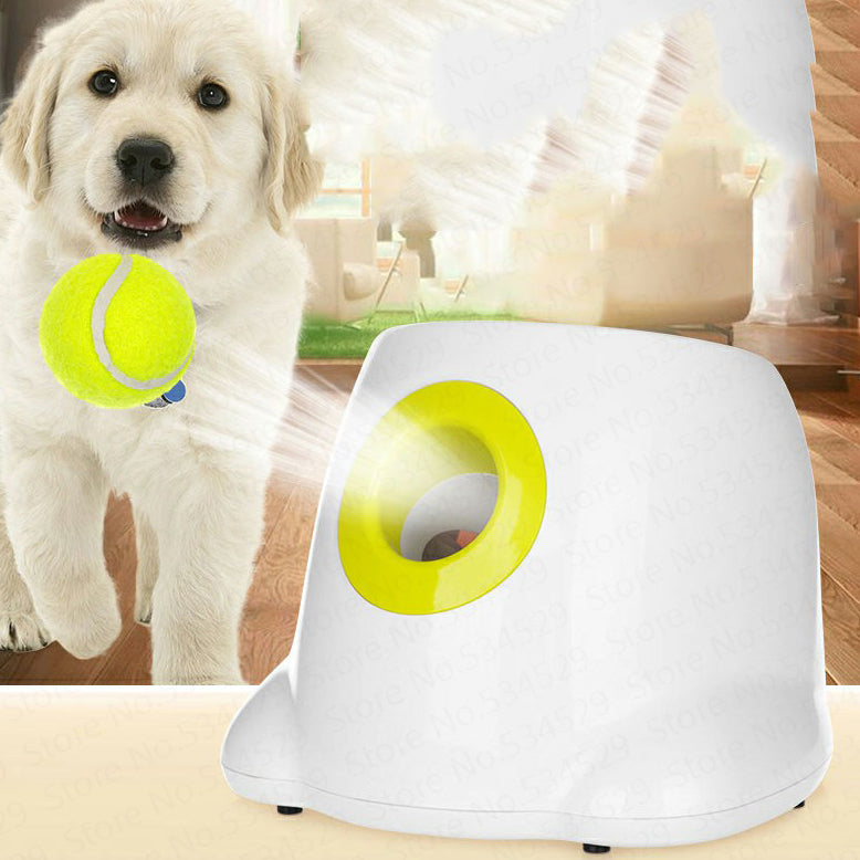Paws & Oasis Automatic Ball Launcher