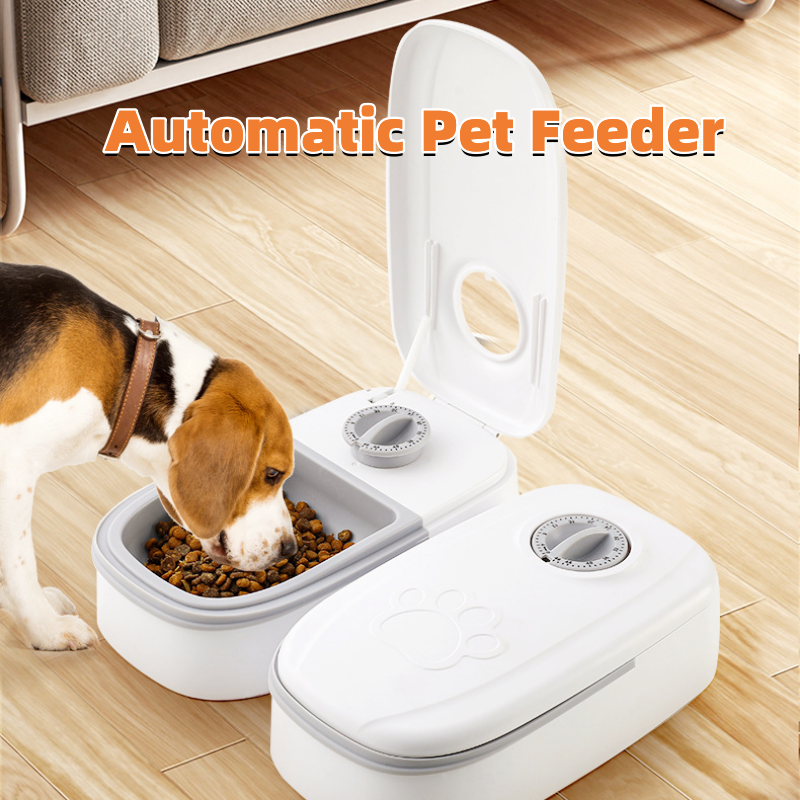 Paws & Oasis Smart Timed Pet Feeder