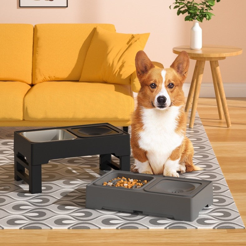 Paws & Oasis Adjustable Elevated Feeding Stand