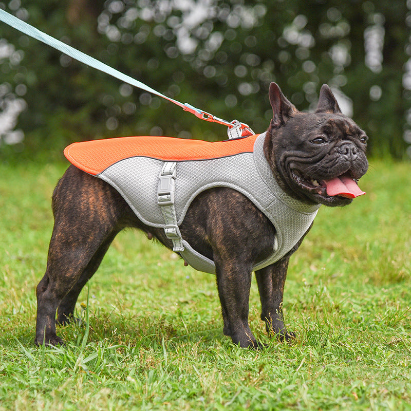 Paws & Oasis Cooling Vest for dogs and cats – breathable evaporative cooling vest, UAE